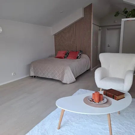 Apartament Kotoisa Kattohuoneisto Laitila