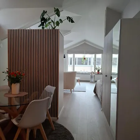 Apartament Kotoisa Kattohuoneisto *