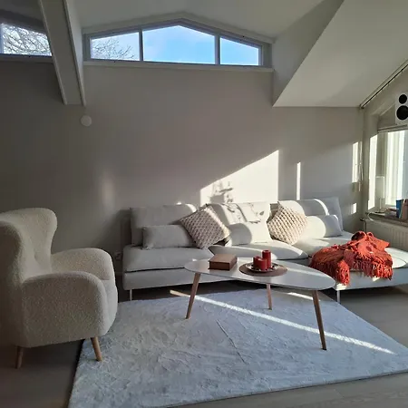 Kotoisa Kattohuoneisto Laitila