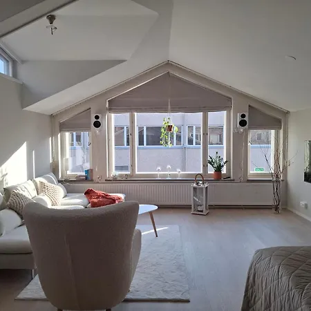 Kotoisa Kattohuoneisto Apartment Laitila