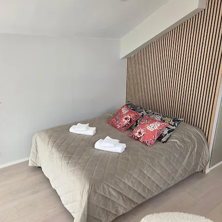 Apartment Kotoisa Kattohuoneisto Laitila