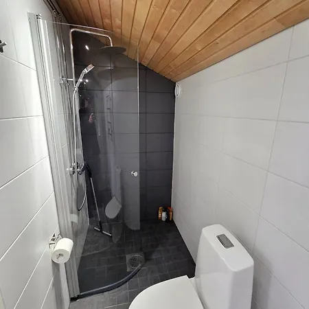 Kotoisa Kattohuoneisto Apartament Laitila