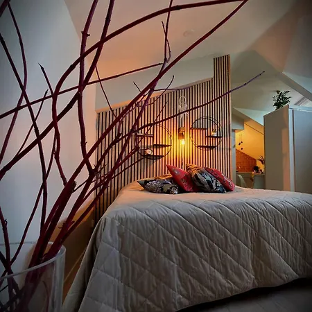 Kotoisa Kattohuoneisto Daire Laitila