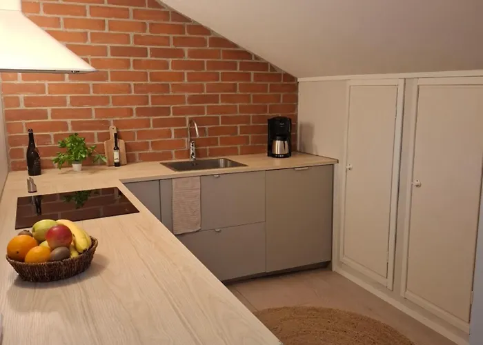 Kotoisa Kattohuoneisto