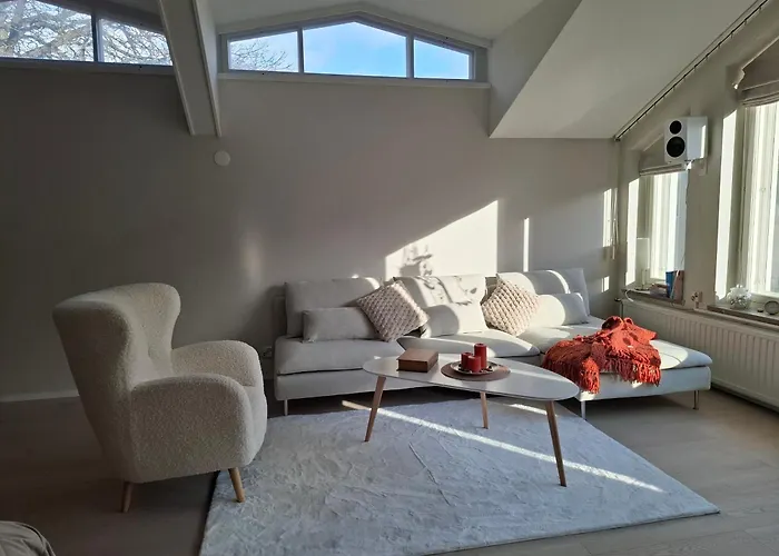 Kotoisa Kattohuoneisto Laitila